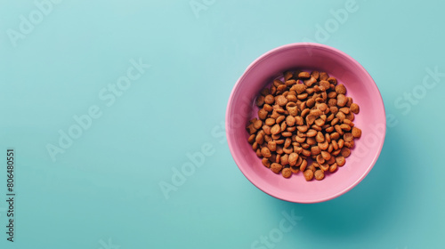 looking down on dry biscuits in a pink pet bowl on a light blue background