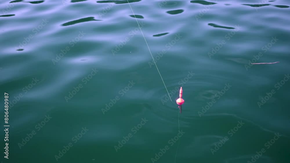 海面に浮かぶ浮き 海面に浮かぶ浮き