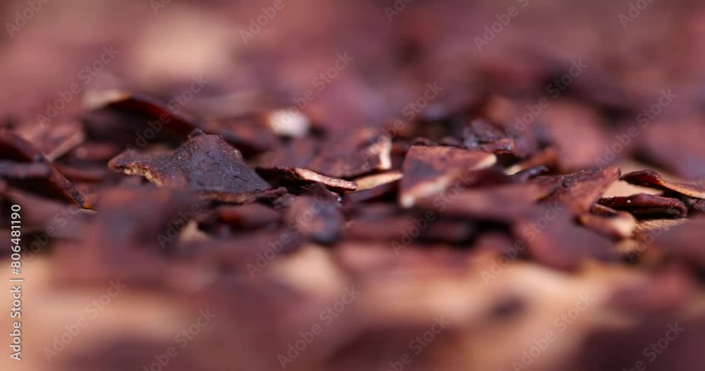 coconut chips in chocolate, roasted and dried in chocolate and cocoa with sugar coconut pulp coconut chips in chocolate, roasted and dried in chocolate and cocoa with sugar coconut pulp