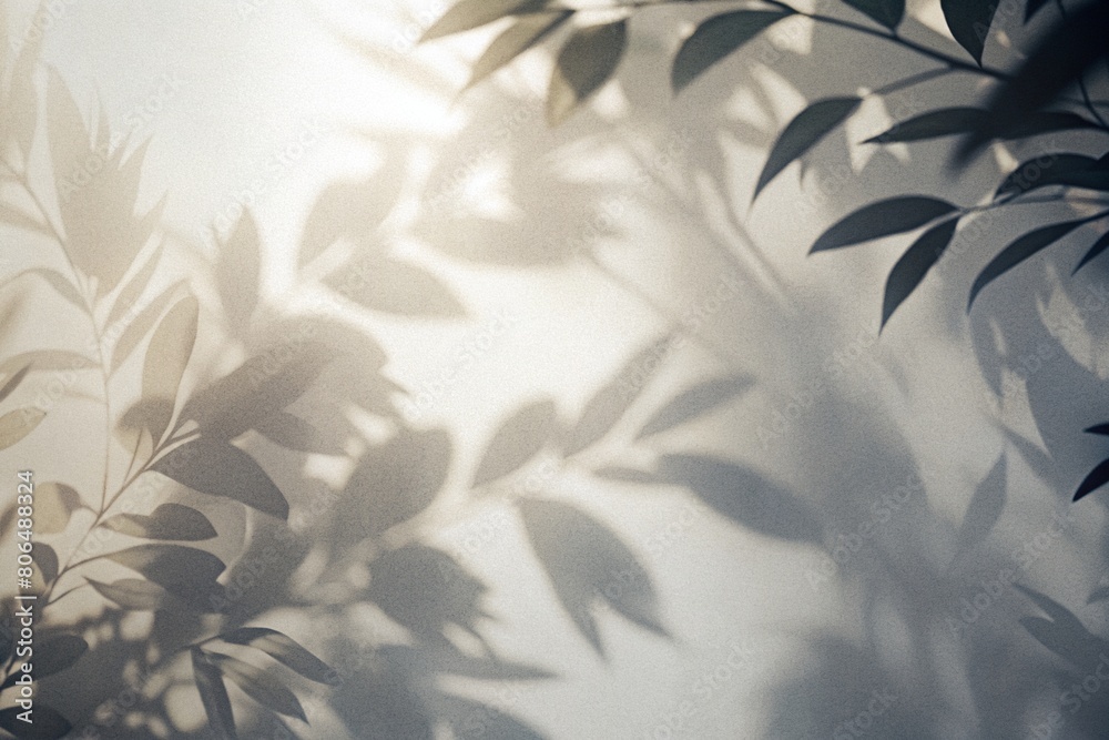 Abstract silhouette shadow background of natural leaves Abstract silhouette shadow background of natural leaves