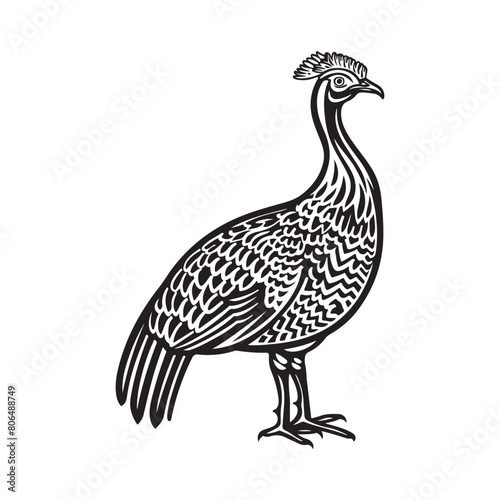 Guinea Fowl Vector Art, Icons, and Graphics isolated on white