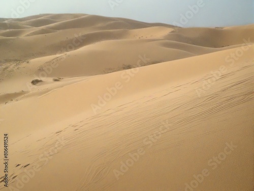 sand dunes in the desert