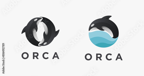 Modern couple of orca killer whale logo icon vector on white background