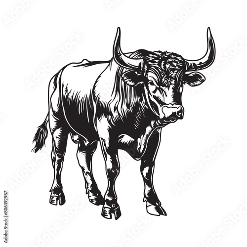 Black Cow Vector Art, Icons, and Graphics isolated on white