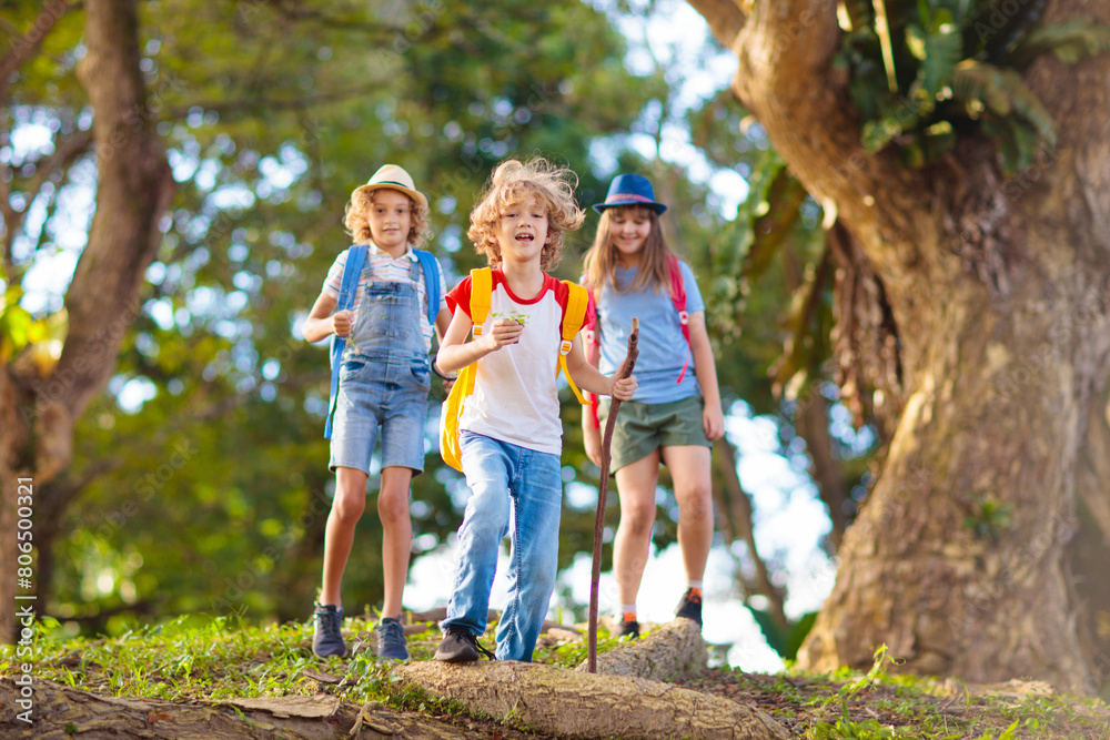 Kids explore nature. Children hike in sunny park. Kids explore nature. Children hike in sunny park.
