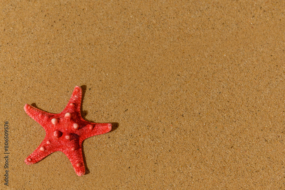 Red starfish on a white background. Close-up. Red starfish on a white background. Close-up.