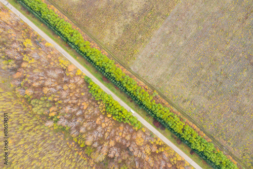 Aerial photography of colorful tree roads in Wudalianchi Scenic Area, Heilongjiang Province