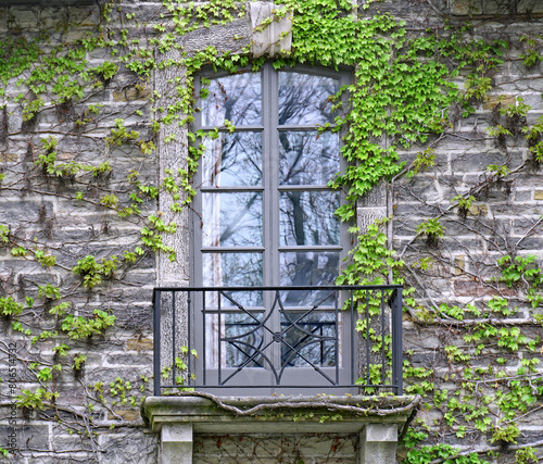 window of stone house surrounded by ivy