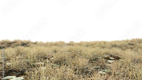 Fototapeta Naklejka Na Ścianę i Meble -  dry grass field on transparent background