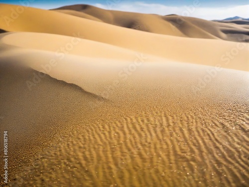 sand dunes in the desert