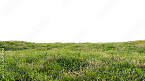 Green field with dry grass, beautiful nature on a transparent background