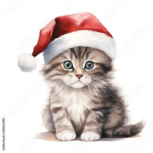 Cute siberian kitten in Santa Claus hat. Watercolor illustration.
