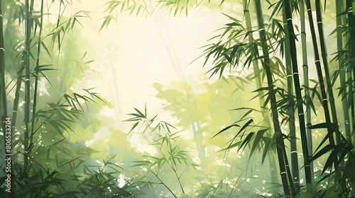 Green bamboo forest in the morning  panoramic banner background.