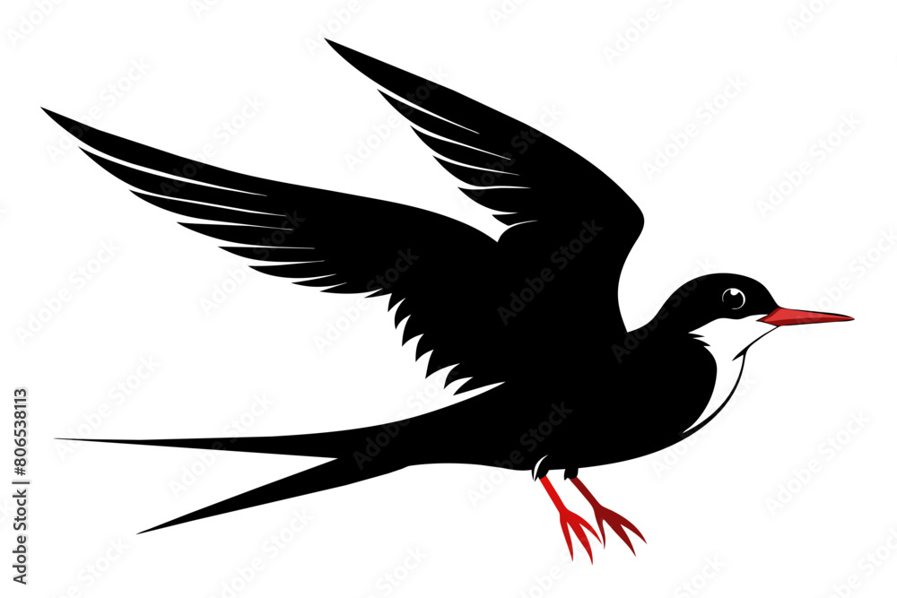 Fototapeta premium Tern silhouette on white background, Vector illustration, icon, svg, characters, Holiday t shirt, Hand drawn trendy Vector illustration, illustration of a seagu