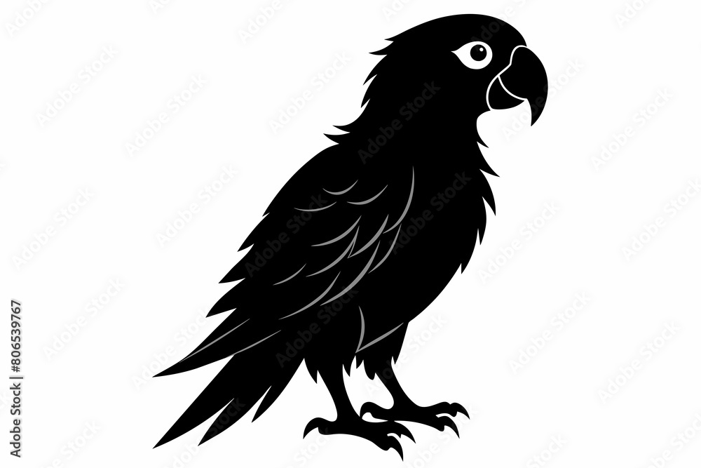 Obraz premium Parrot silhouette on white background, Vector illustration, bird, icon, svg, characters, Holiday t shirt, Hand drawn trendy Vector illustration, illustration of a seagull 