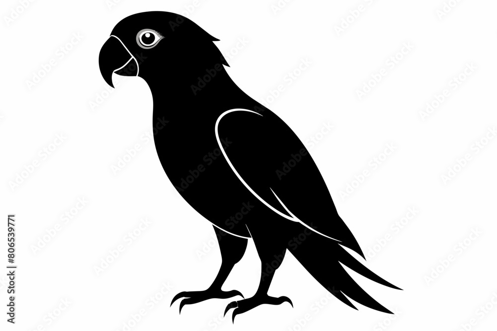 Obraz premium Parrot silhouette on white background, Vector illustration, bird, icon, svg, characters, Holiday t shirt, Hand drawn trendy Vector illustration, illustration of a seagull 