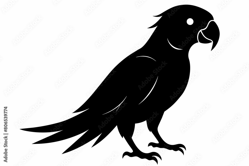 Obraz premium Parrot silhouette on white background, Vector illustration, bird, icon, svg, characters, Holiday t shirt, Hand drawn trendy Vector illustration, illustration of a seagull 