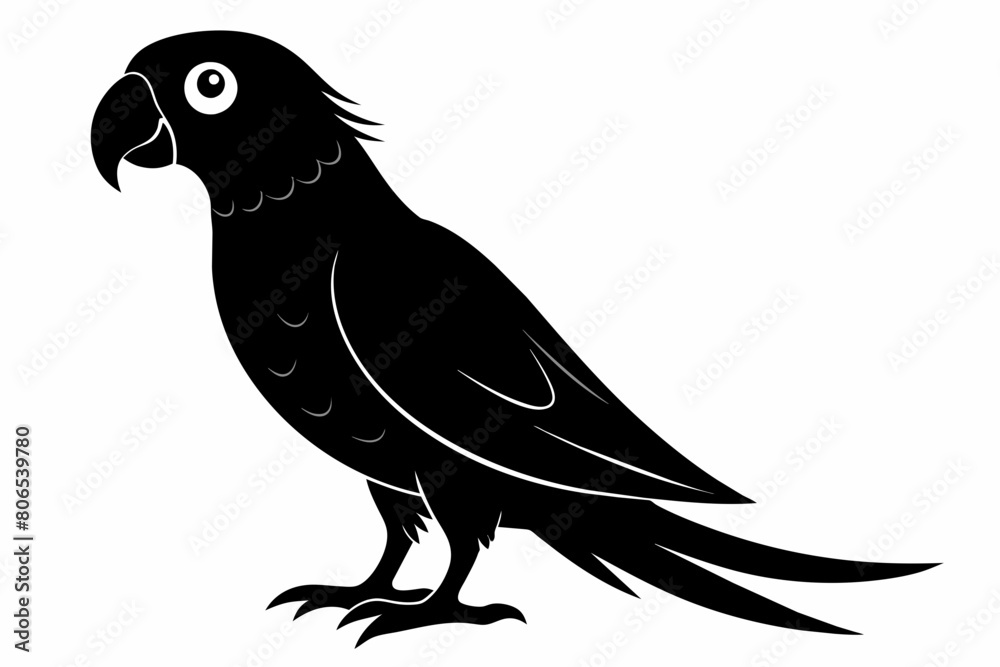 Parrot silhouette on white background, Vector illustration, bird, icon, svg, characters, Holiday t shirt, Hand drawn trendy Vector illustration, illustration of a seagull
Parrot silhouette on white background, Vector illustration, bird, icon, svg, characters, Holiday t shirt, Hand drawn trendy Vector illustration, illustration of a seagull