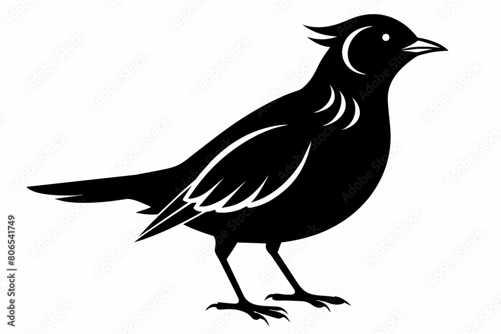 Fototapeta premium Lark silhouette on white background, Vector illustration, bird, icon, svg, characters, Holiday t shirt, Hand drawn trendy Vector illustration, crow on a white