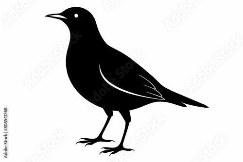 Lark silhouette on white background, Vector illustration, bird, icon, svg, characters, Holiday t shirt, Hand drawn trendy Vector illustration, crow on a white