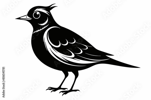 Lark silhouette on white background, Vector illustration, bird, icon, svg, characters, Holiday t shirt, Hand drawn trendy Vector illustration, crow on a white