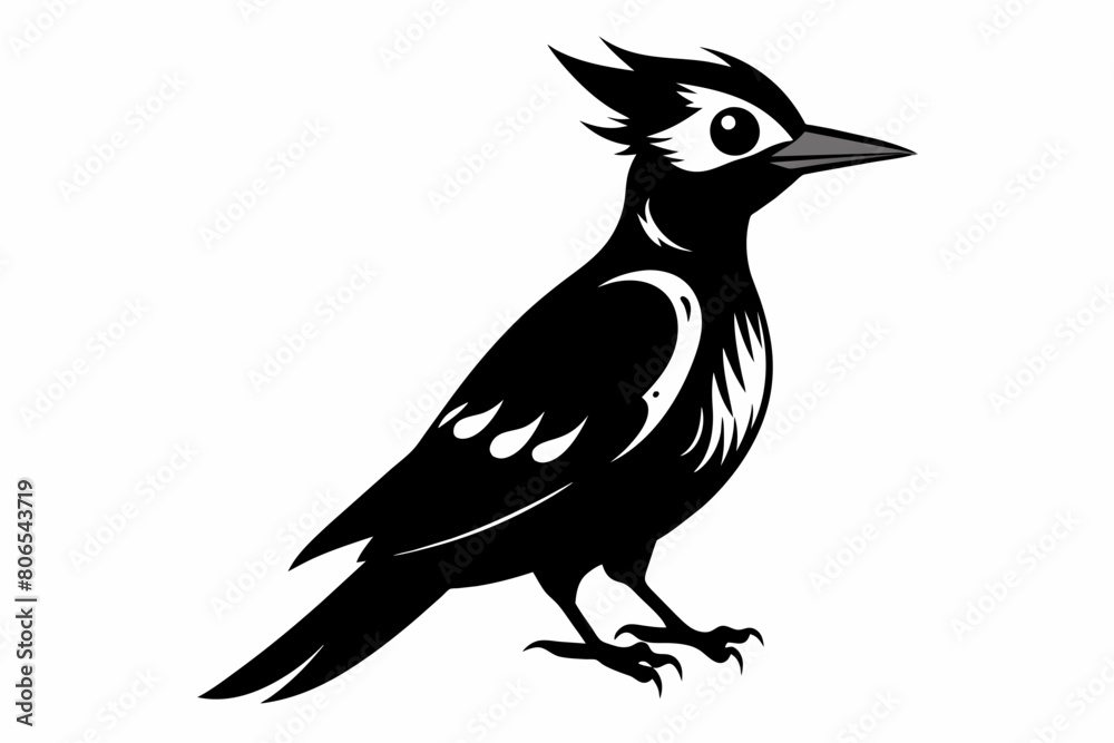 Woodpecker silhouette on white background, Vector illustration, bird, icon, svg, characters, Holiday t shirt, Hand drawn trendy Vector illustration, raven on a branch Woodpecker silhouette on white background, Vector illustration, bird, icon, svg, characters, Holiday t shirt, Hand drawn trendy Vector illustration, raven on a branch