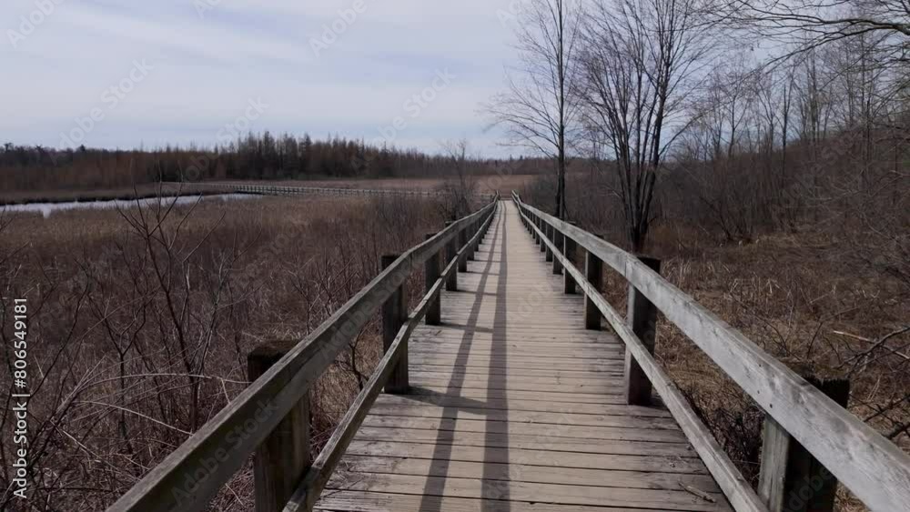 Mer Bleue National conservation area near Ottawa - travel photography Mer Bleue National conservation area near Ottawa - travel photography