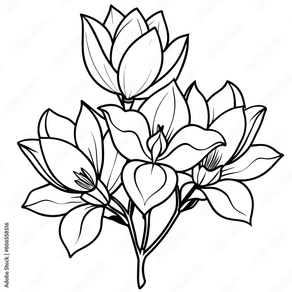 Fototapeta premium Magnolia Flower outline illustration coloring book page design, Magnolia Flower black and white line art drawing coloring book pages for children and adults 