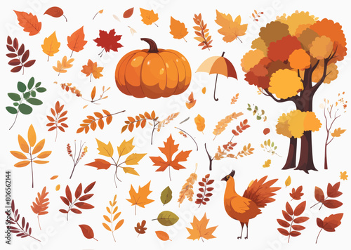 a collection of autumn leaves and pumpkins