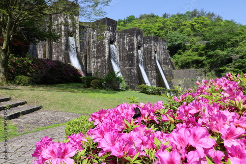 flowers in front of Honen'ike Dam in Kagawa, Japan