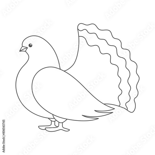 Pretty pigeon. Black and white card with dove. Page for coloring. photo