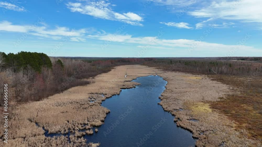 Famous Park near Ottawa called Mer Bleue Bog with swamps and muddy areas beautiful nature of Canada - travel photography by drone Famous Park near Ottawa called Mer Bleue Bog with swamps and muddy areas beautiful nature of Canada - travel photography by drone