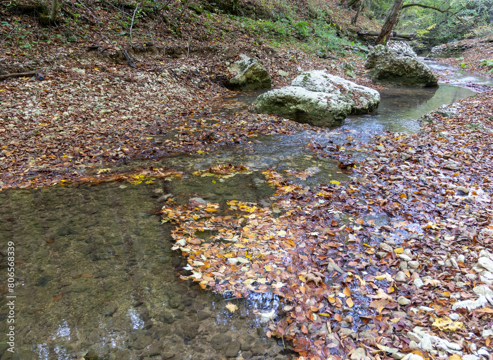 Fototapeta premium the beginning of autumn, walks along the riverbank in nature, panoramic views and the state of the waterway , hiking trails