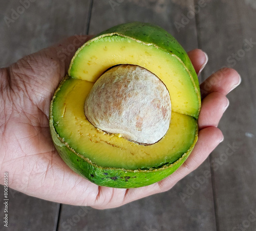 Hand holding green but ripe avocadoes crosscut