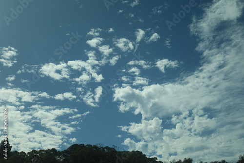 T-Rex Cloud