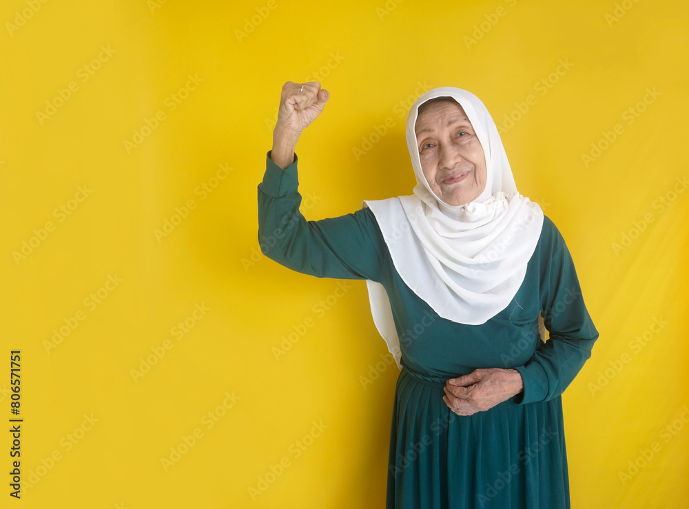 Elderly Asian woman looking at camera with happy expression and showing strong hand gesture Elderly Asian woman looking at camera with happy expression and showing strong hand gesture