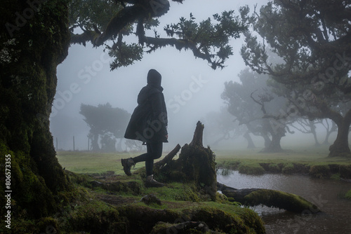 One person silhouette in foggy mistical Fanal Forest in Madeira Island, Portugal photo