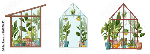 Houseplant and macrame plant growing in pots. Greenhouse, flower rack and macrame plants isolated on white background. Cartoon flat illustration.