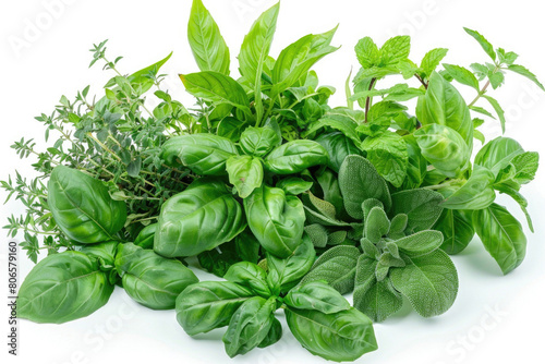 A fresh herb garden assortment with varieties like basil, mint, and rosemary