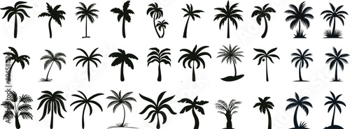 Exotic tropical palm tree silhouettes, perfect for travel, vacation themes, summer designs. Detailed vector illustrations, ideal for creative projects, wallpapers, and botanical garden decorations © Arafat