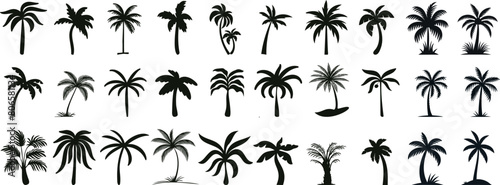 Exotic tropical palm tree silhouettes, perfect for travel, vacation themes, summer designs. Detailed vector illustrations, ideal for creative projects, wallpapers, and botanical garden decorations