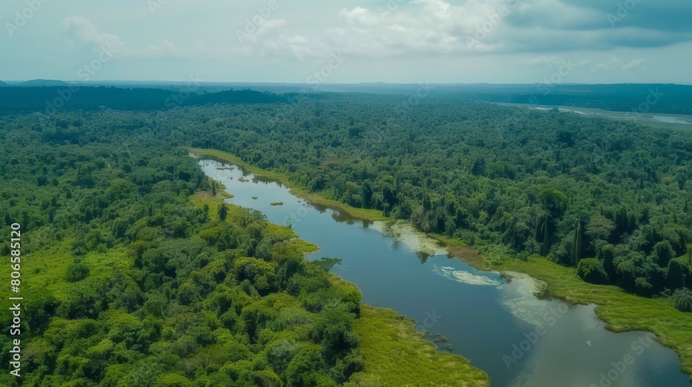 dji mavic drone photo of the amazon jungle