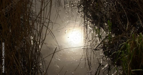 sun reflecting on the water with reeds on the river Ant at the Norfolk Broads photo