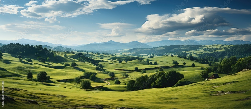 Beautiful panoramic landscape with green meadow and blue sky