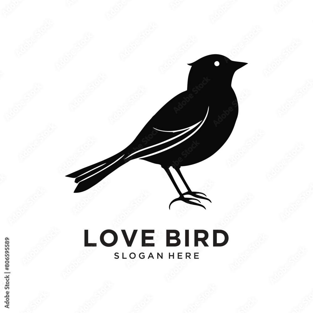 Obraz premium beauty black bird logo design vector illustration