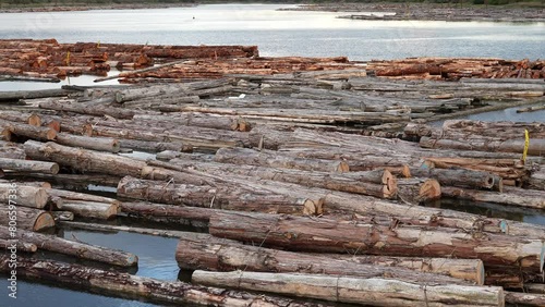 Expansive Timber Log Raft Floating on Peaceful River