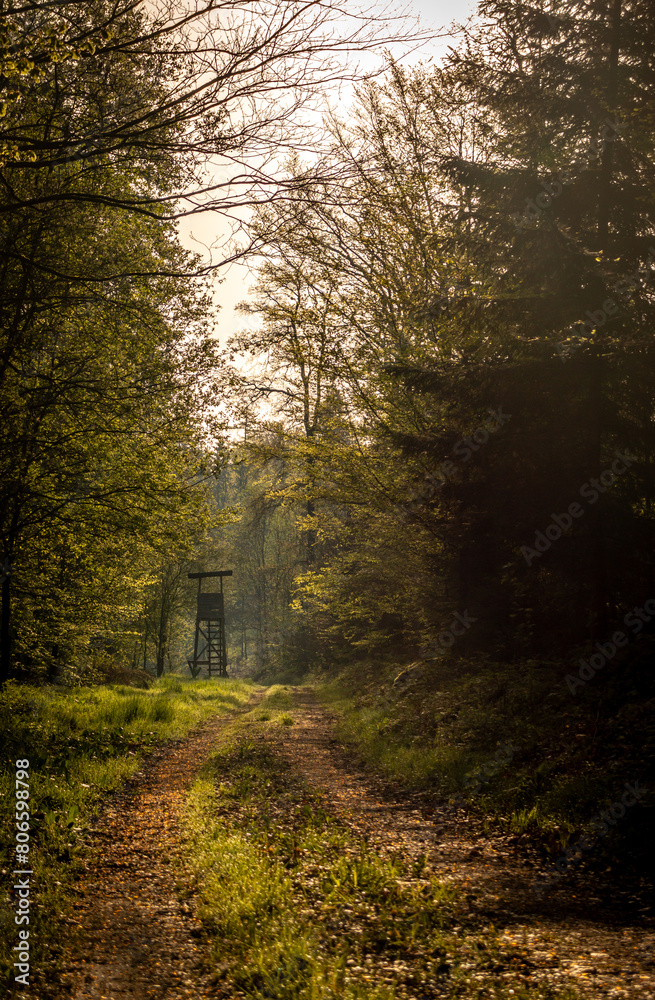Obraz premium Hochsitz im Wald