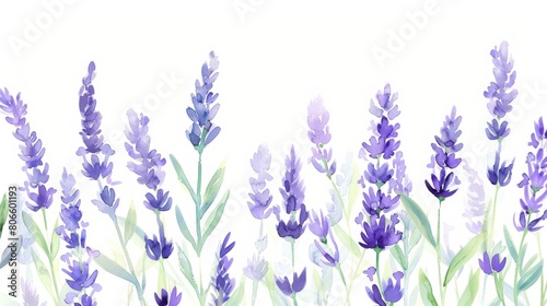Gentle watercolor illustration of lavender sprigs against a soft white background  their soothing presence ideal for a peaceful clinic environment