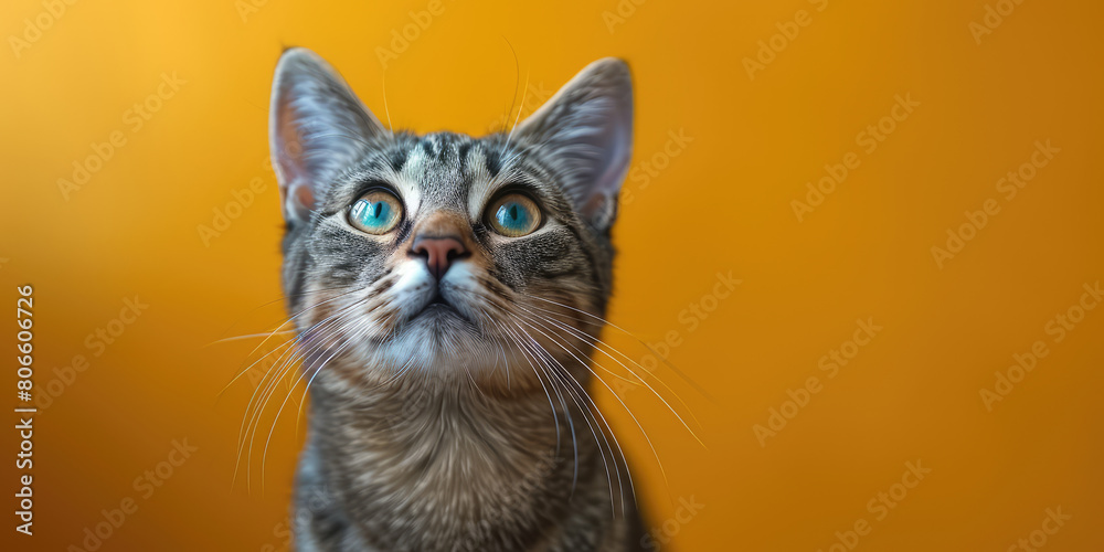  Photo of A grey tabby cat sitting on the windowsill, looking up at an indoor plant in front of it. The background is a yellow wall. Created with Ai