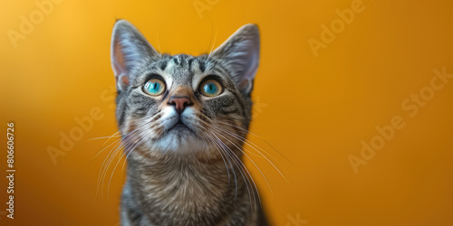 Photo of A grey tabby cat sitting on the windowsill, looking up at an indoor plant in front of it. The background is a yellow wall. Created with Ai
